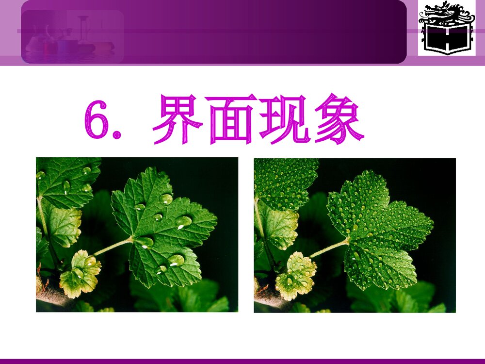 界面化学PPT课件下载（共94页）1