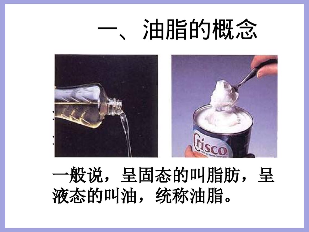 化学油脂PPT课件下载2