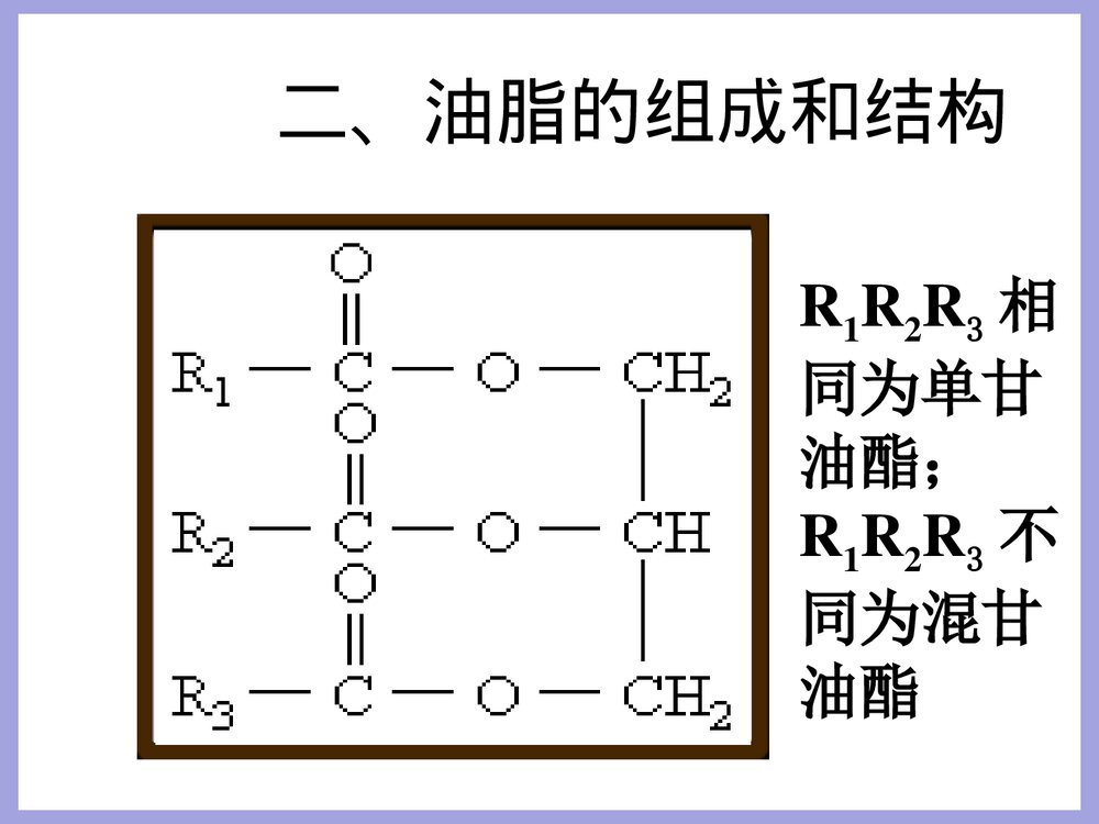 化学油脂PPT课件下载4