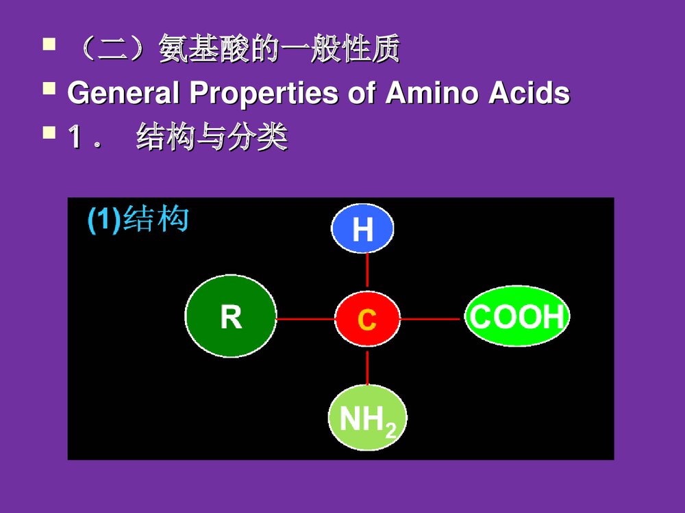 食品化学《第五章蛋白质》PPT课件5