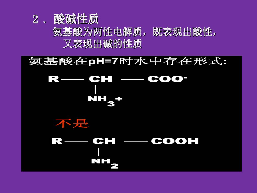 食品化学《第五章蛋白质》PPT课件8