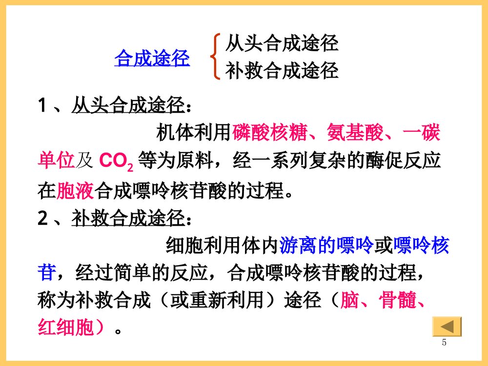 《生物氧化》生物化学第七版PPT课件5