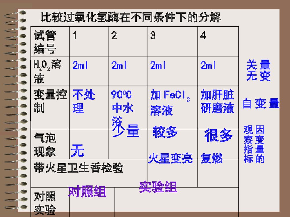 降低化学反应活化能的酶PPT课件下载4