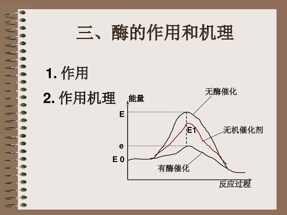 降低化学反应活化能的酶PPT课件下载6