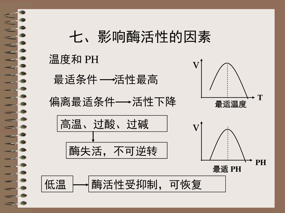 降低化学反应活化能的酶PPT课件下载10