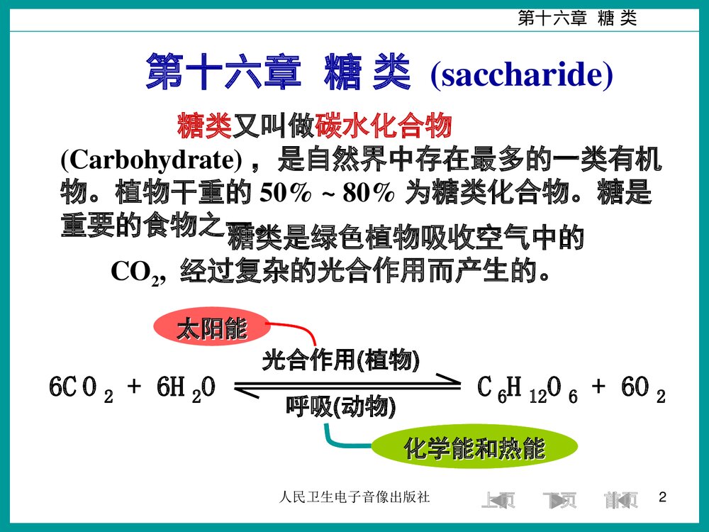 有机化学糖类PPT课件下载2