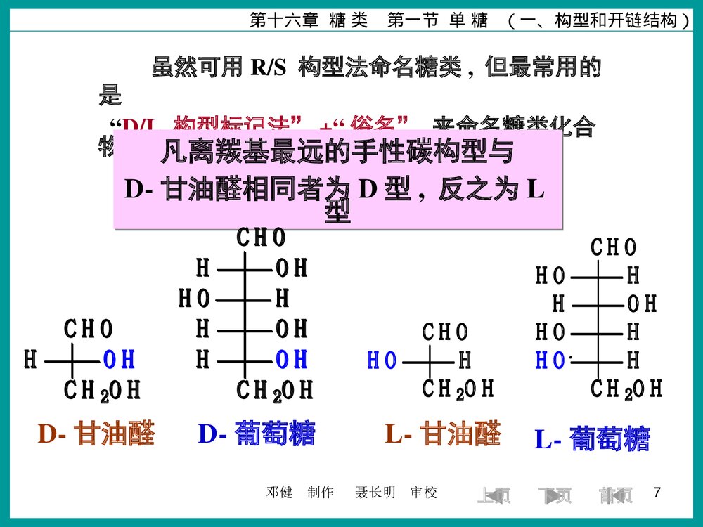有机化学糖类PPT课件下载7