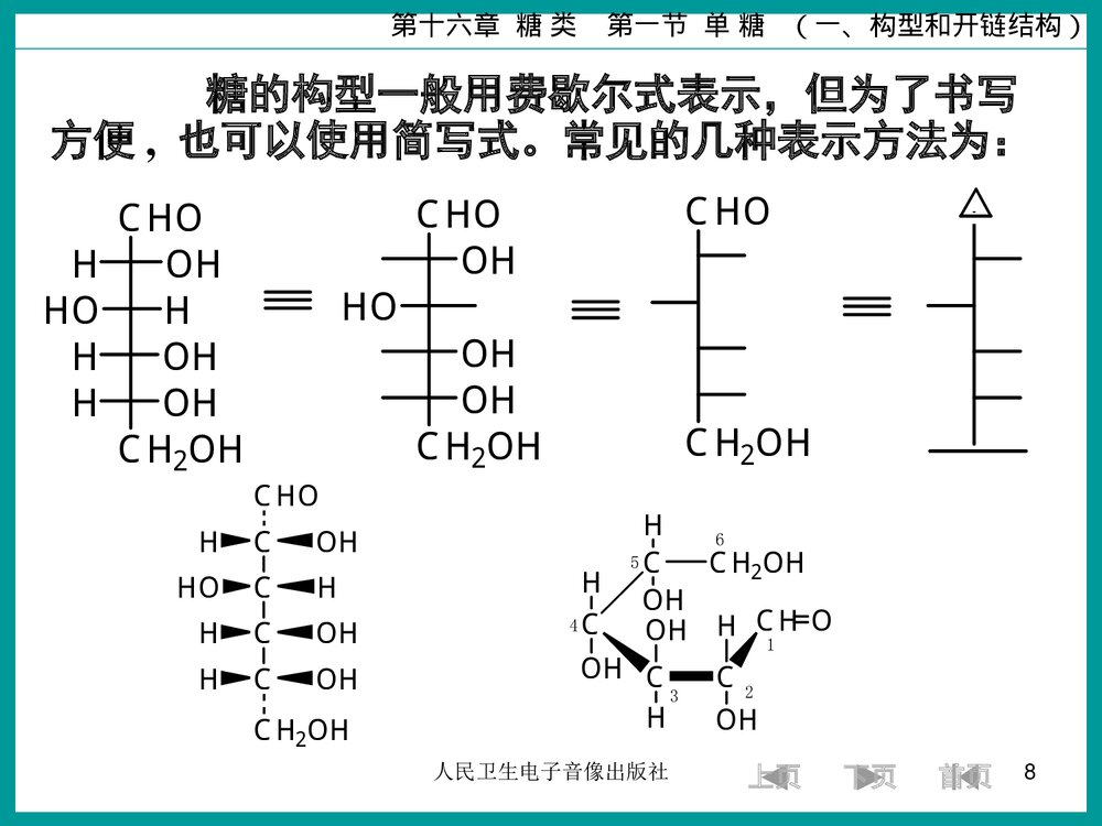 有机化学糖类PPT课件下载8