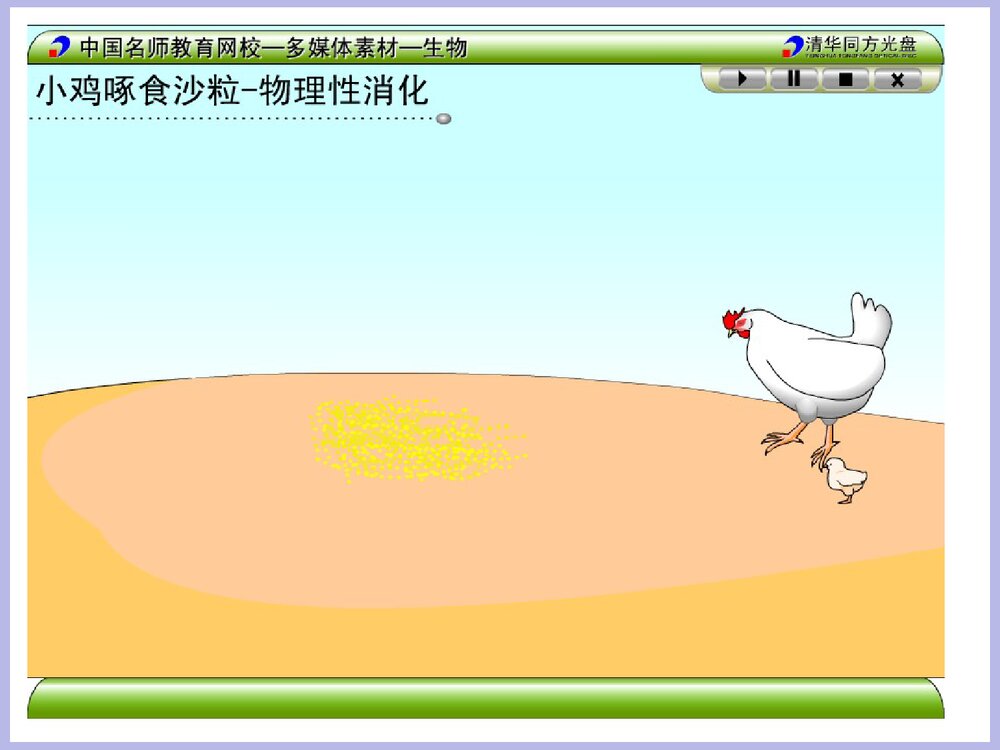 降低化学反应活化能的酶PPT课件4