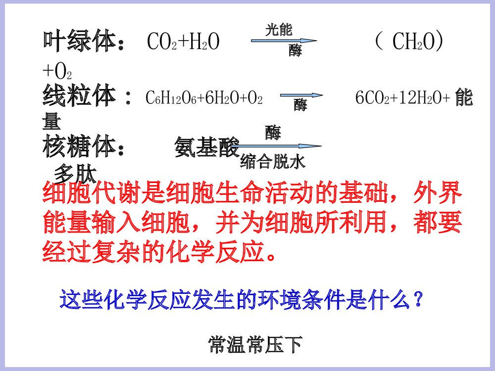 降低化学反应活化能的酶PPT课件8