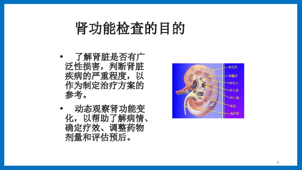 肾脏功能检查医疗培训PPT课件9