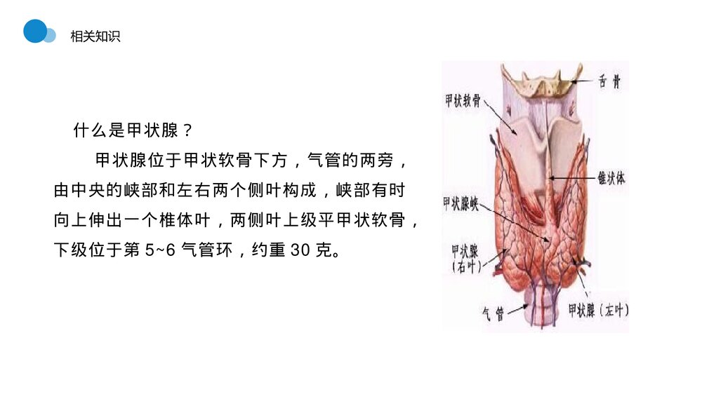 甲状腺结节知识讲座PPT课件6