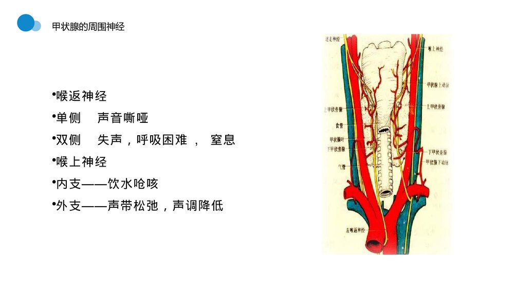 甲状腺结节知识讲座PPT课件7