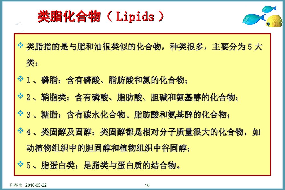 海洋有机物及地球化学过程PPT课件下载10
