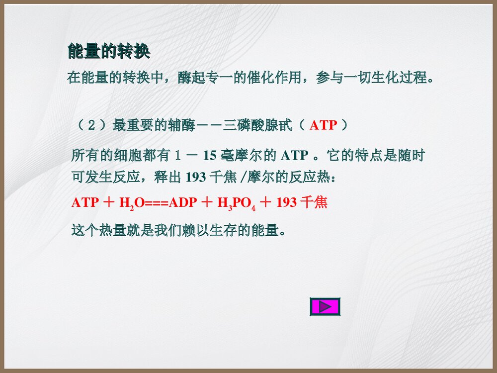 食品与化学PPT教学课件9