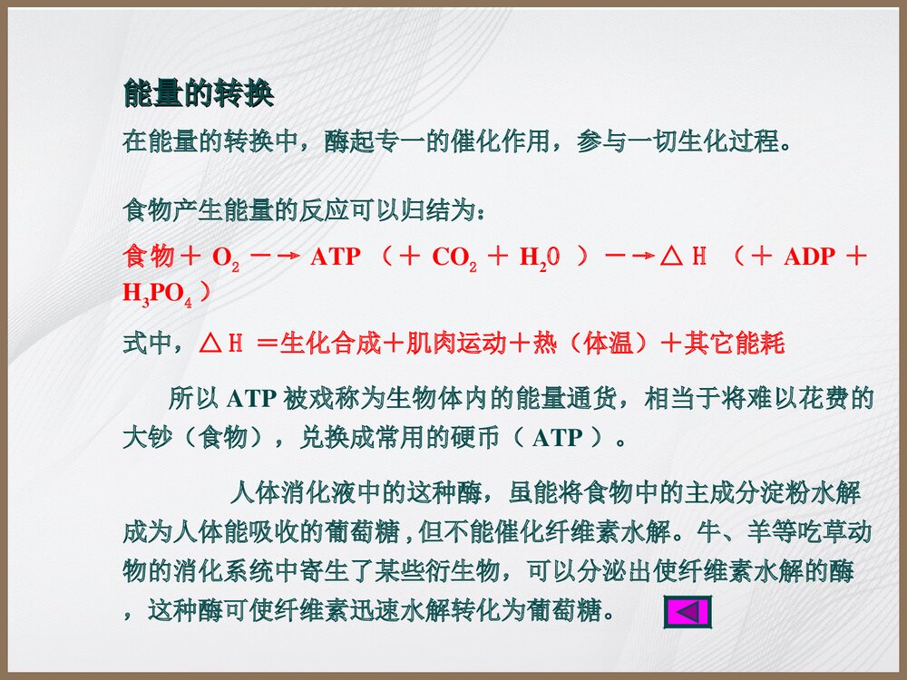 食品与化学PPT教学课件10