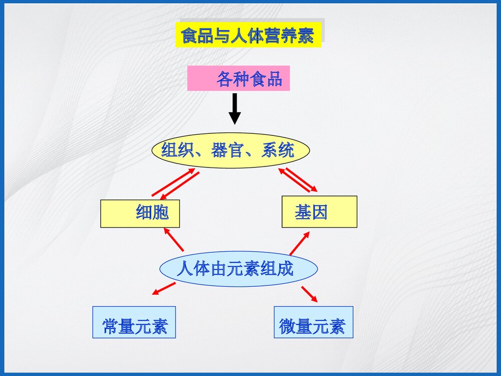 食品与化学PPT课件4