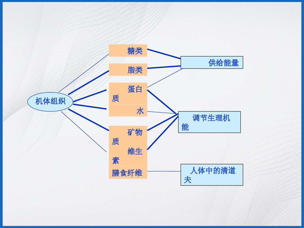 食品与化学PPT课件6