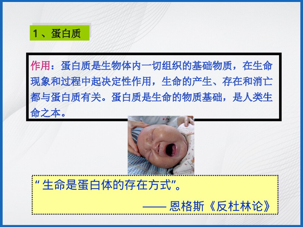 食品与化学PPT课件8