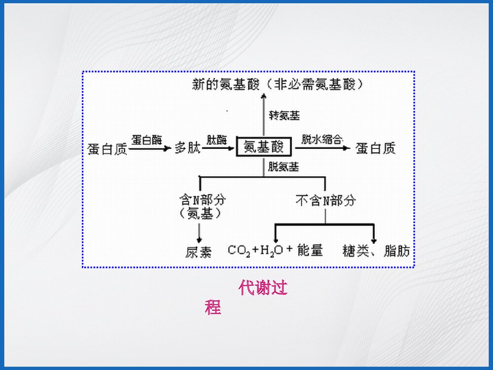食品与化学PPT课件10