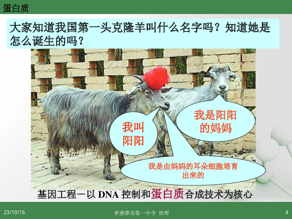 高中化学选修5《第三节 蛋白质和核酸》PPT课件3