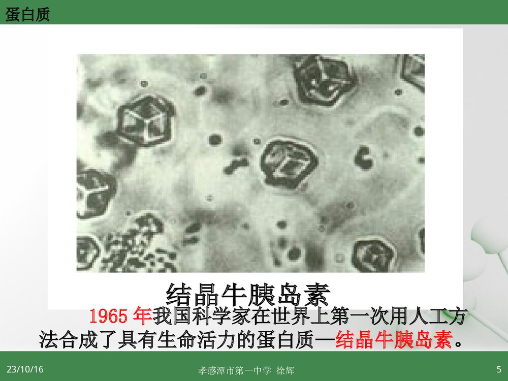 高中化学选修5《第三节 蛋白质和核酸》PPT课件4