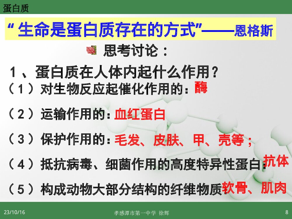 高中化学选修5《第三节 蛋白质和核酸》PPT课件7