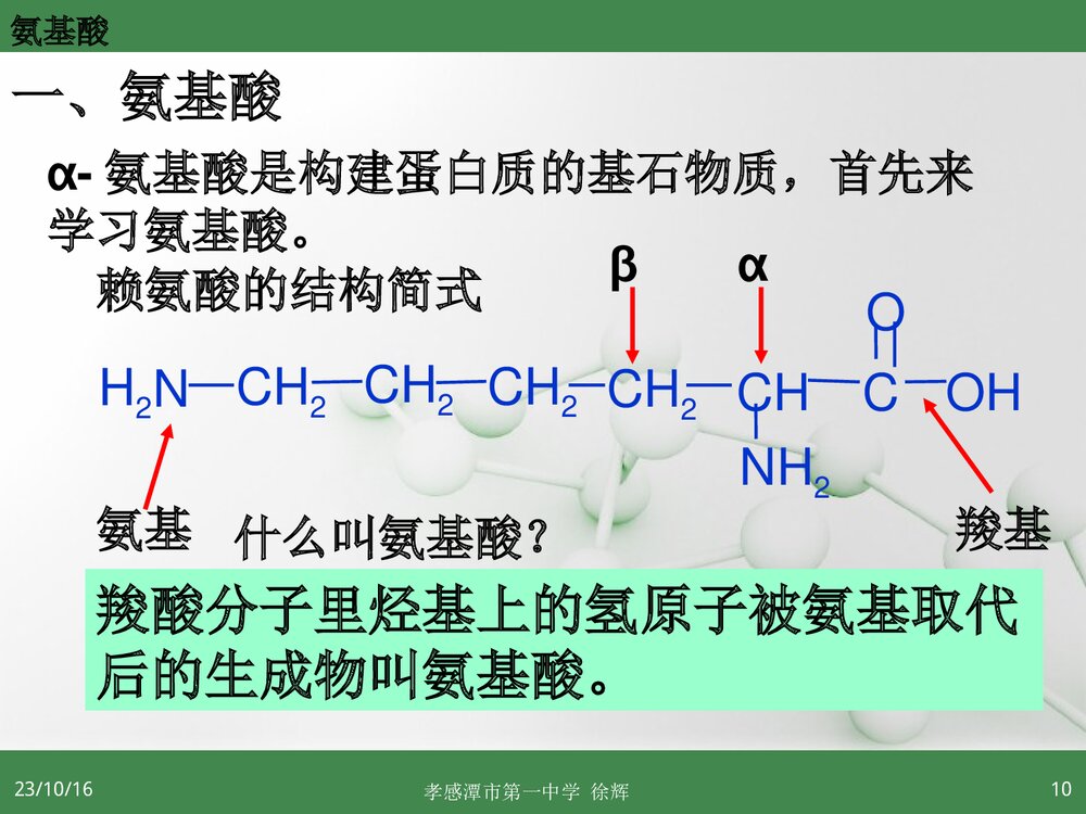 高中化学选修5《第三节 蛋白质和核酸》PPT课件9