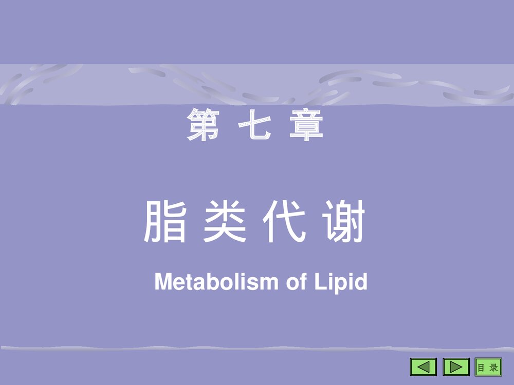 生物化学《第七章 脂类代谢》PPT课件1