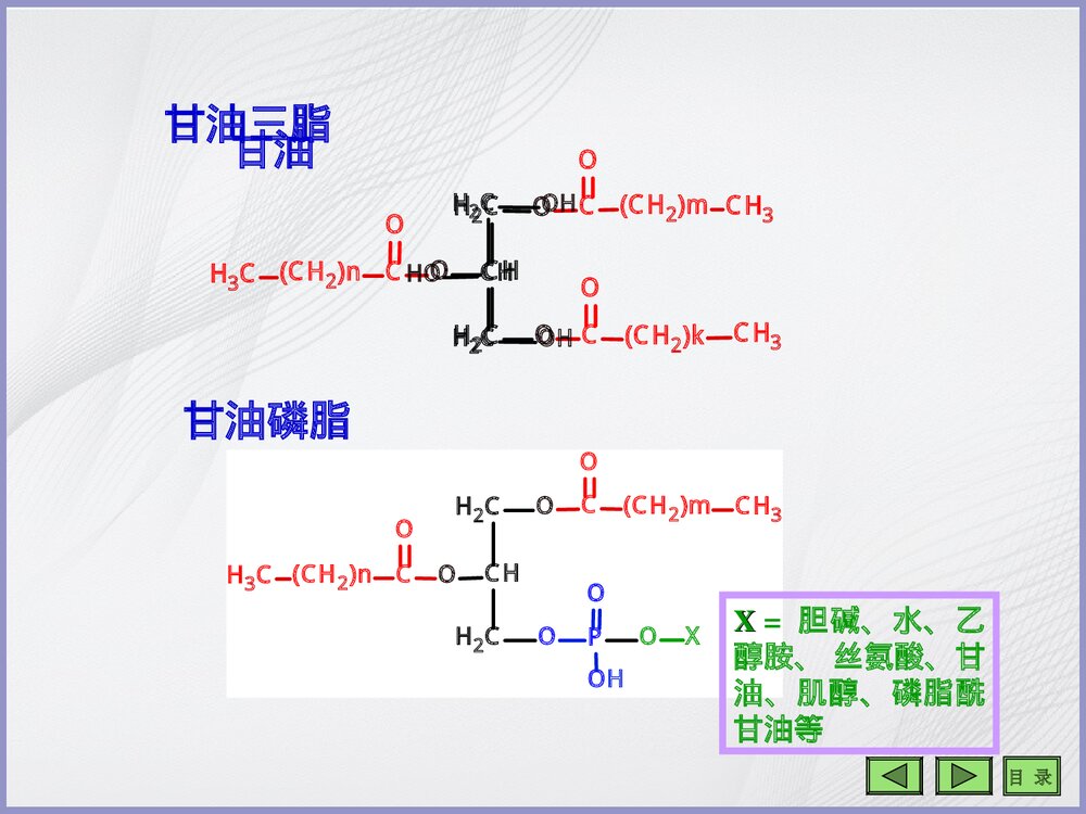 生物化学《第七章 脂类代谢》PPT课件4