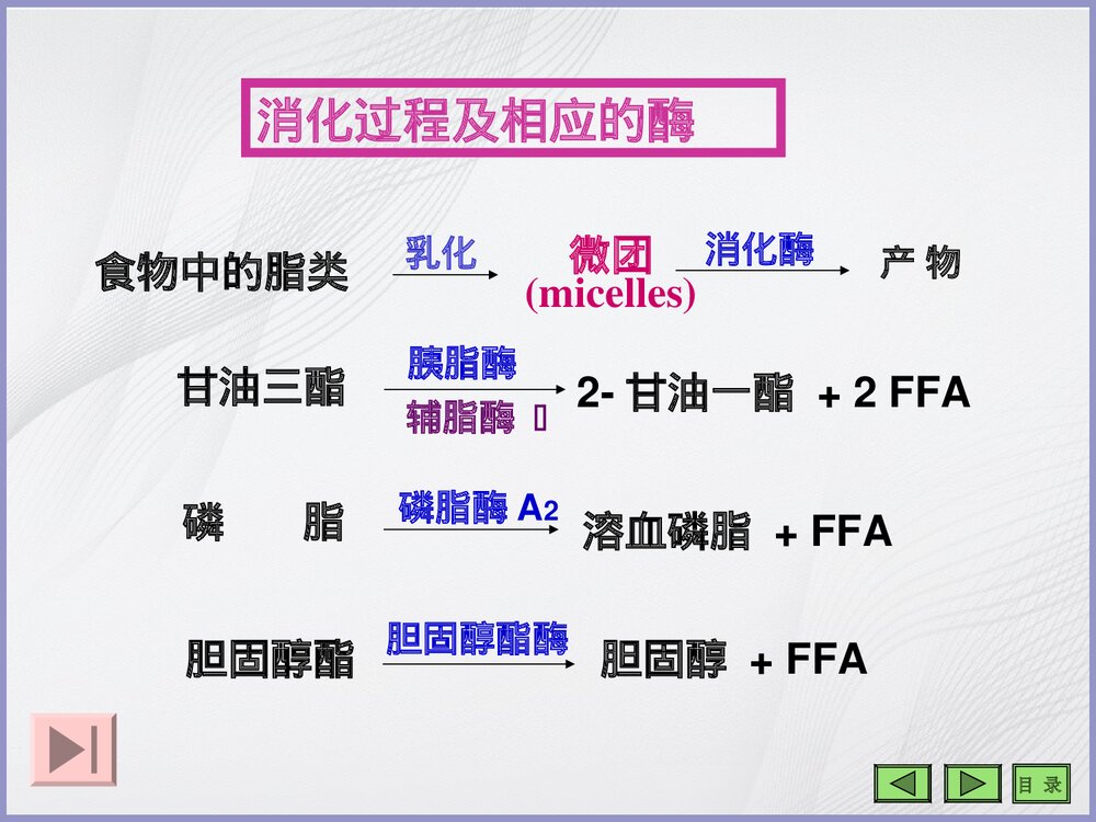 生物化学《第七章 脂类代谢》PPT课件9