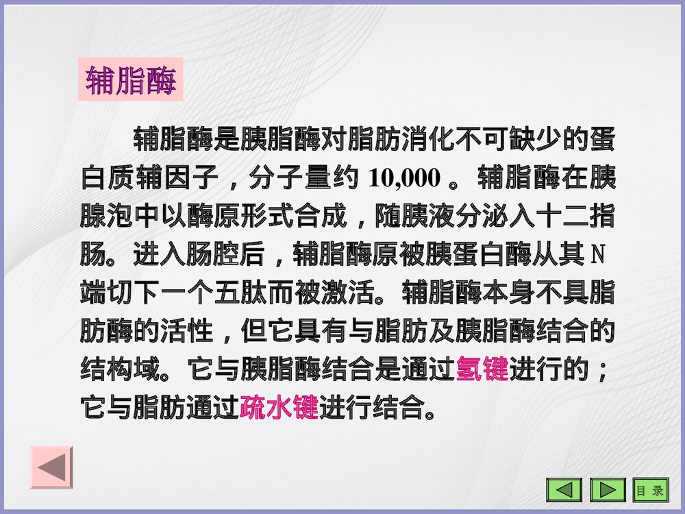 生物化学《第七章 脂类代谢》PPT课件10