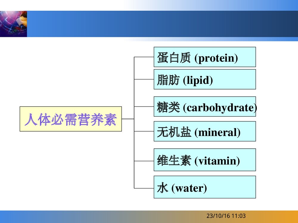 化学与人体PPT课件下载2