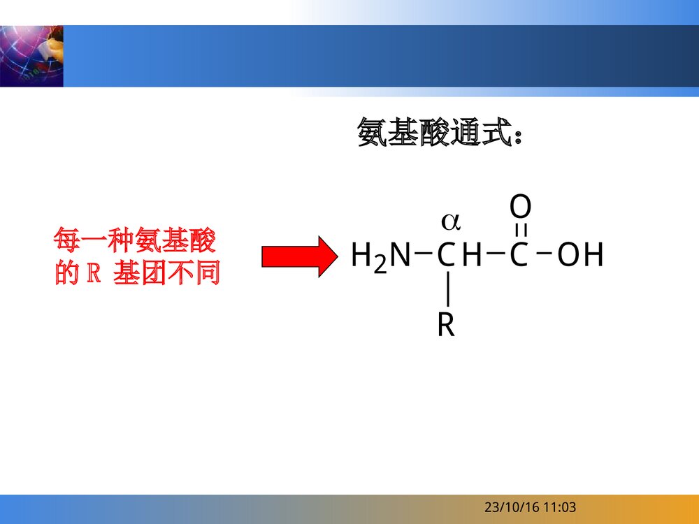 化学与人体PPT课件下载10