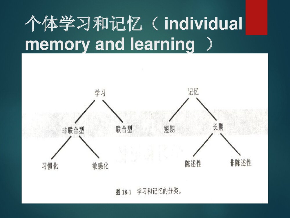 第七章学习与记忆PPT课件下载6