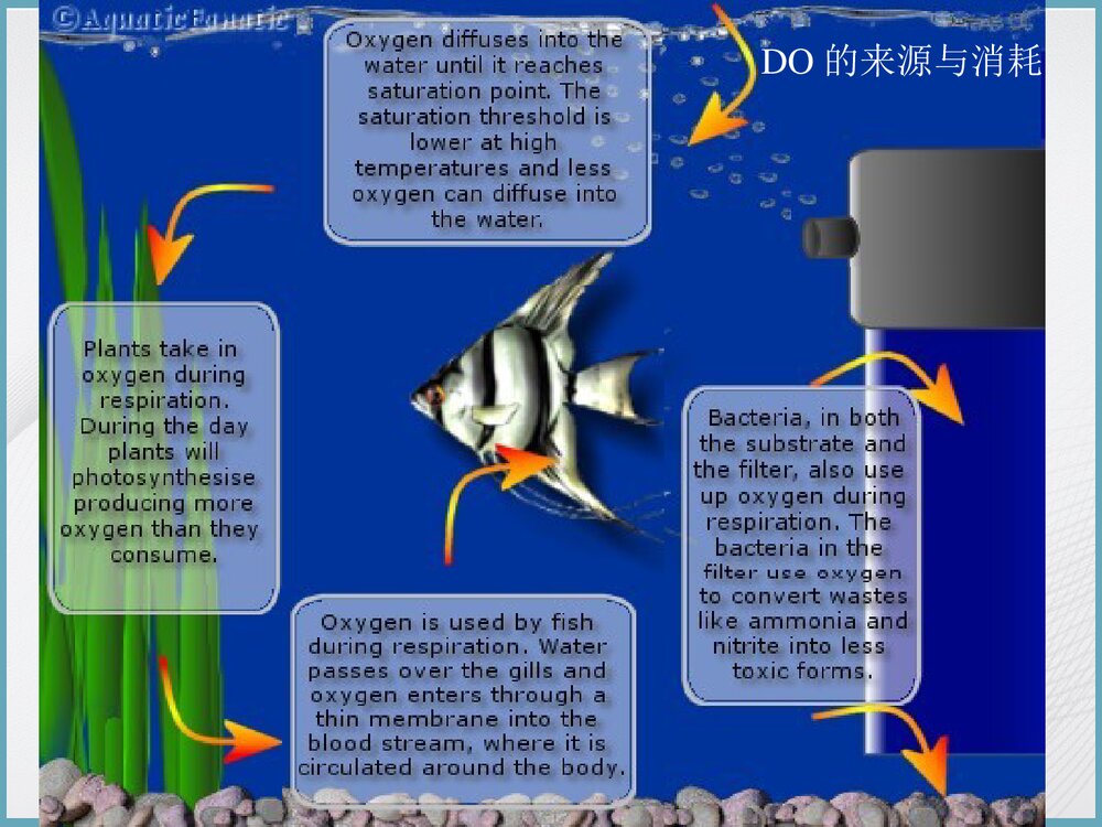 (完整版)水化学基础知识PPT课件下载(共142页)10