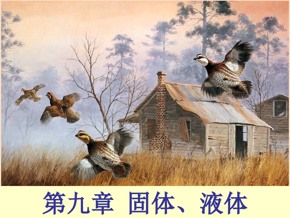 固体液体PPT教学课件1