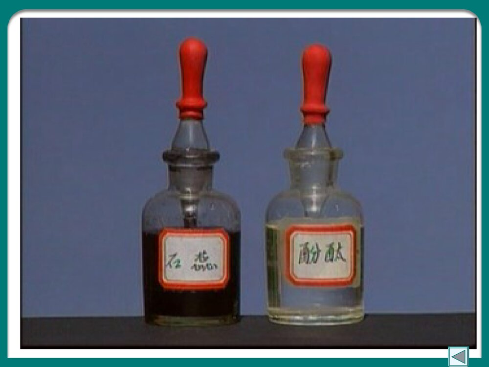 初三化学溶液的酸碱性PPT课件下载8