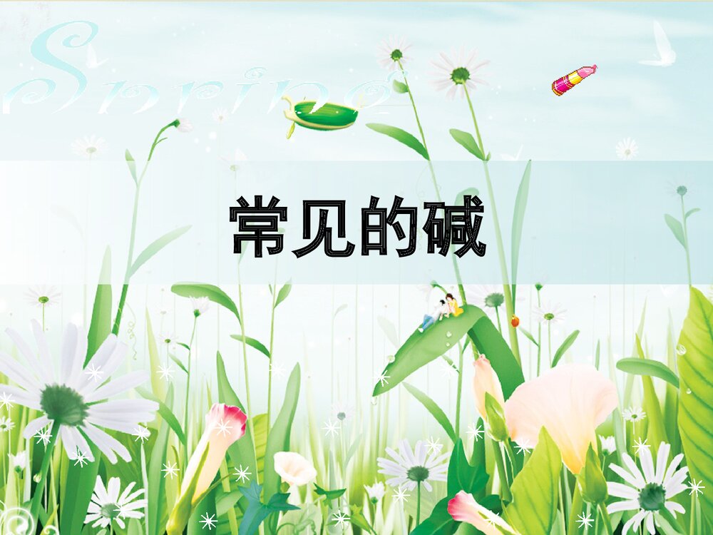 常见的碱PPT化学课件下载1