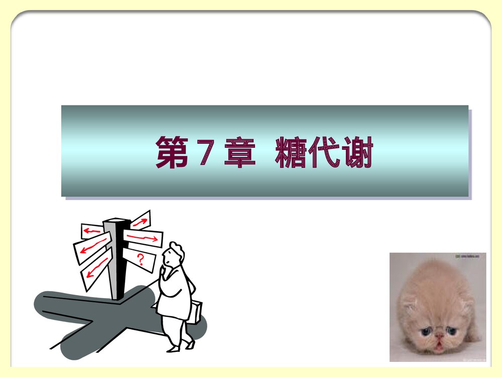 生物化学《第7章糖代谢》PPT课件(共145页）1