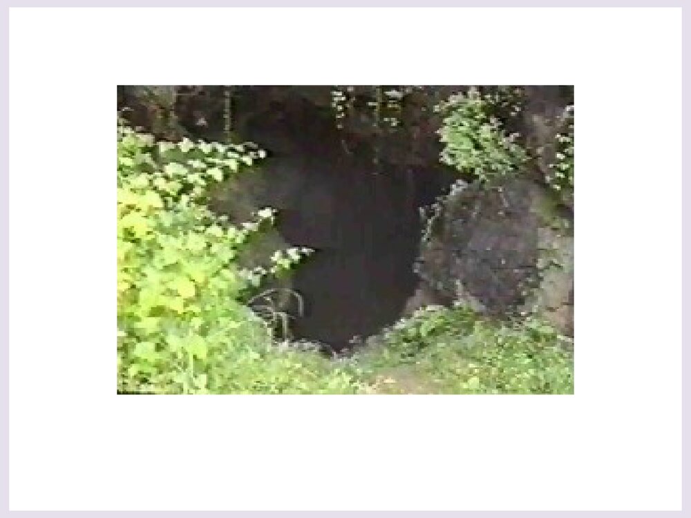 初三化学《二氧化碳》PPT课件下载2