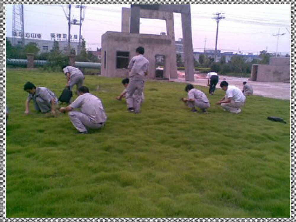 草坪化学除草技术解析PPT课件下载7