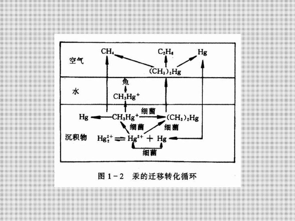 环境化学课件PPT下载4