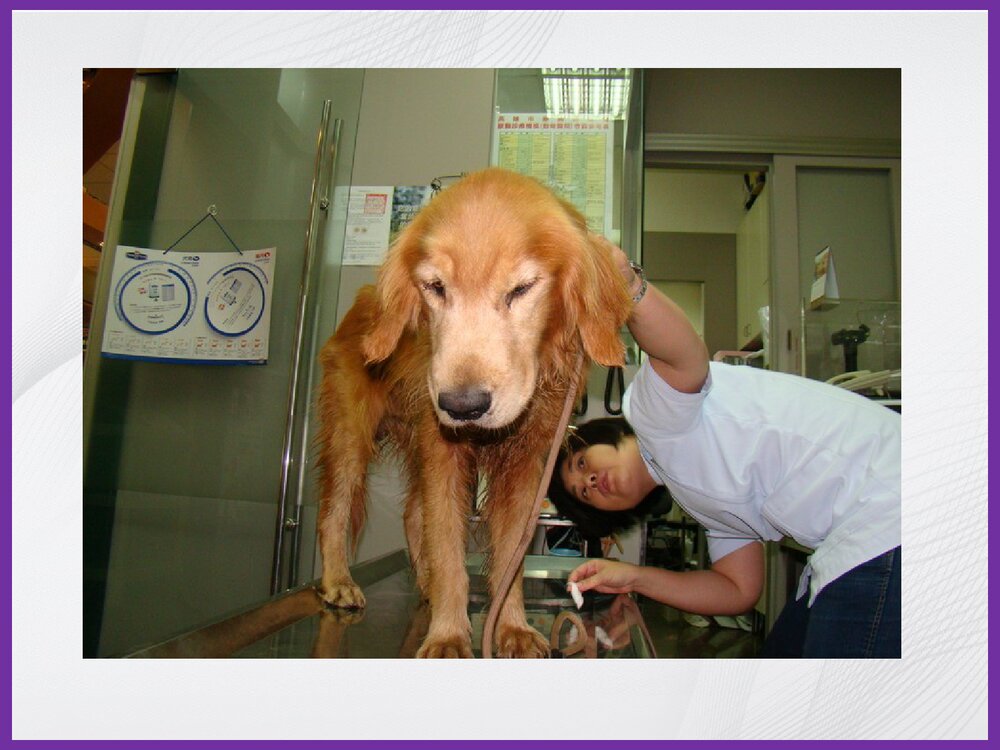 尿液化学检验PPT课件下载2