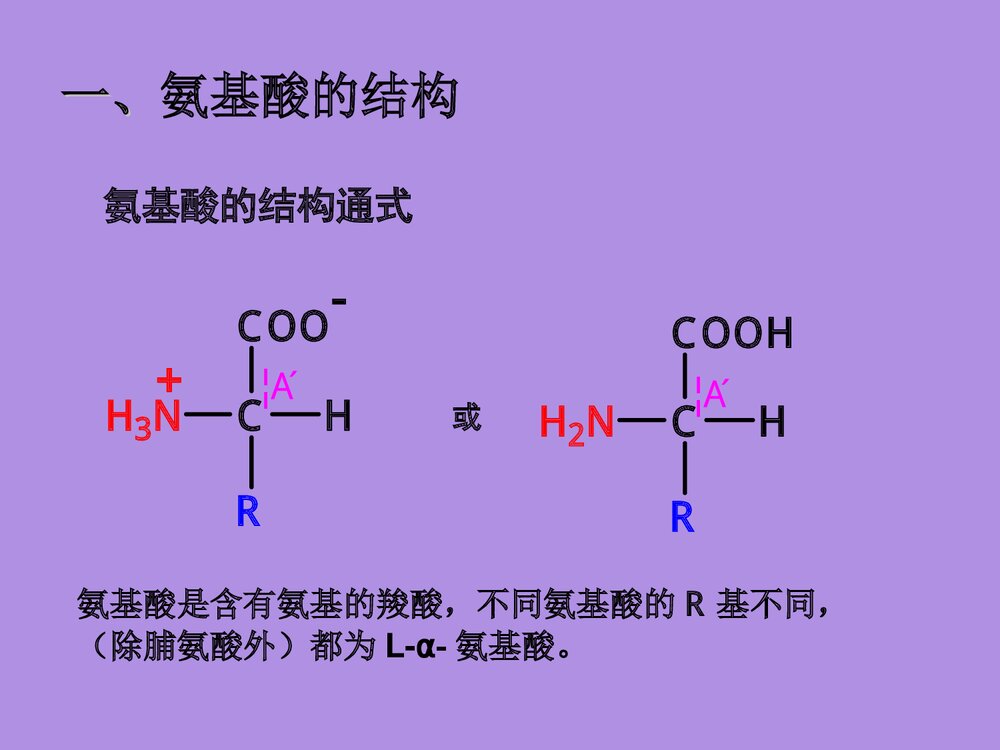 沪教版化学《第二章 蛋白化学》PPT课件4