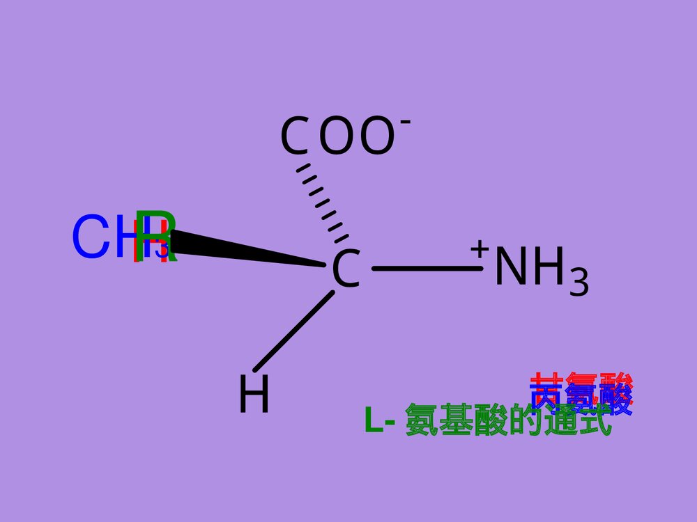 沪教版化学《第二章 蛋白化学》PPT课件5