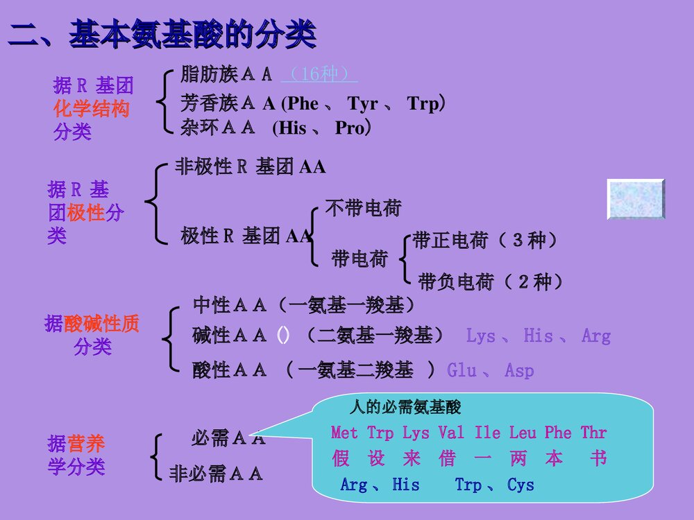 沪教版化学《第二章 蛋白化学》PPT课件6