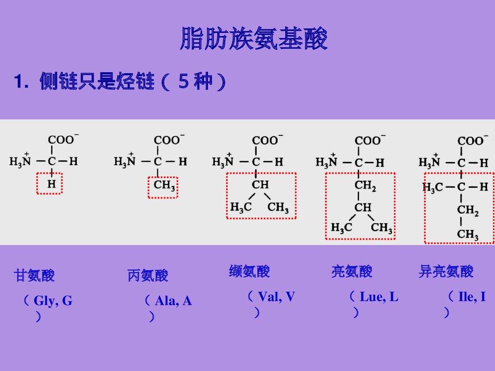 沪教版化学《第二章 蛋白化学》PPT课件7