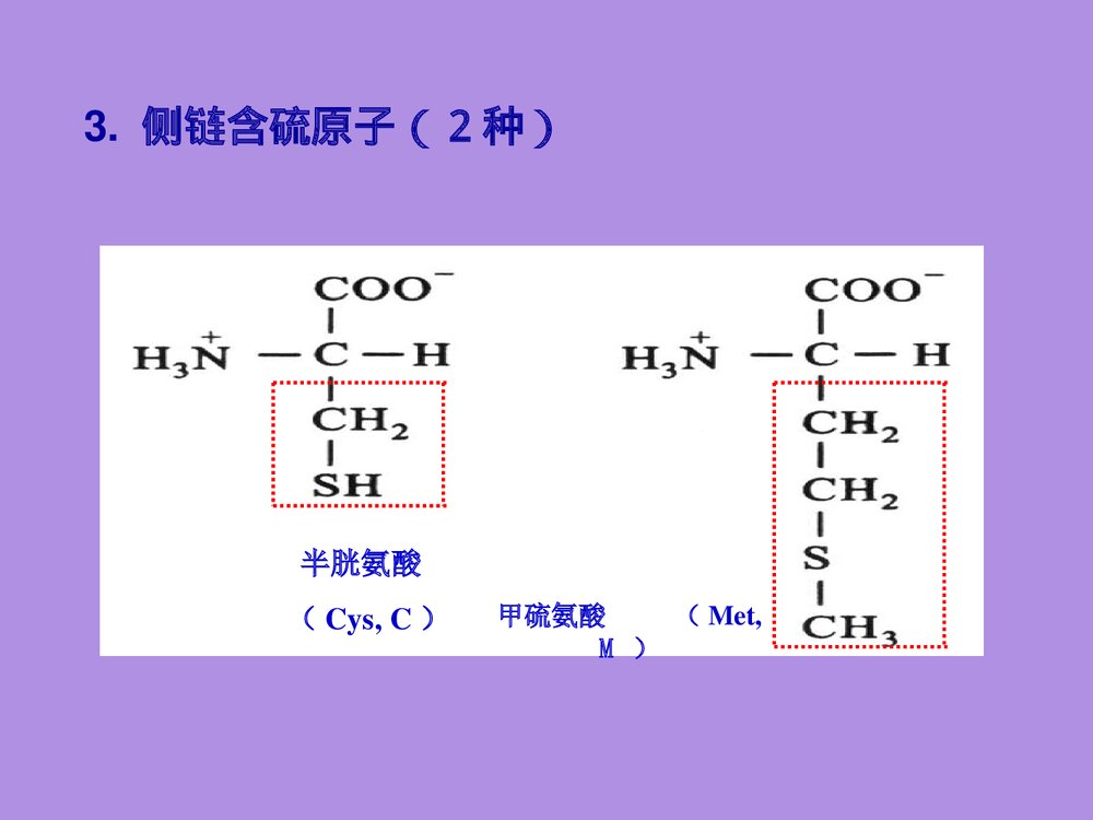 沪教版化学《第二章 蛋白化学》PPT课件9