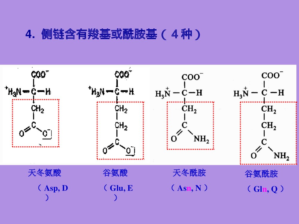 沪教版化学《第二章 蛋白化学》PPT课件10